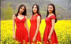 欧美又黄又粗A片